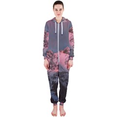 Snowy Summit Hooded Jumpsuit (ladies)  by Pakrebo