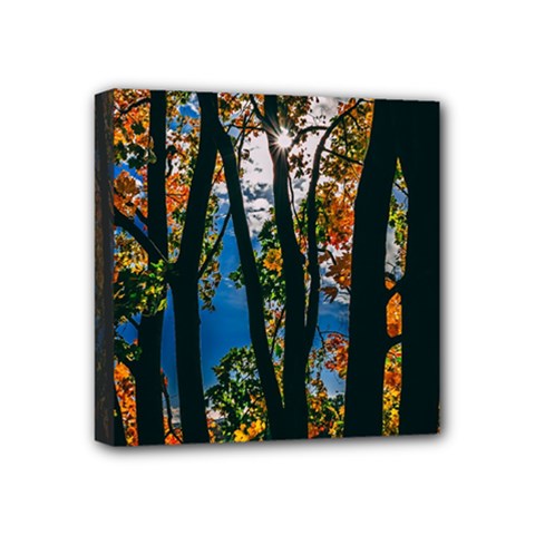 Silhouette Of Trees Mini Canvas 4  X 4  (stretched) by Pakrebo