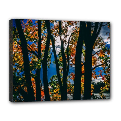 Silhouette Of Trees Canvas 14  X 11  (stretched) by Pakrebo