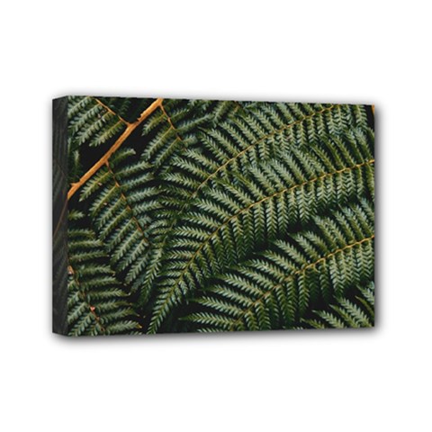 Green Leaves Photo Mini Canvas 7  X 5  (stretched) by Pakrebo