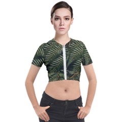 Green Leaves Photo Short Sleeve Cropped Jacket