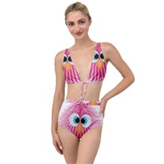 Bird Fluffy Animal Cute Feather Pink Tied Up Two Piece Swimsuit by Sudhe