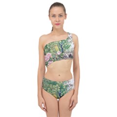 Peafowl Peacock Feather Beautiful Spliced Up Two Piece Swimsuit by Sudhe