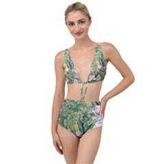 Peafowl Peacock Feather Beautiful Tied Up Two Piece Swimsuit by Sudhe