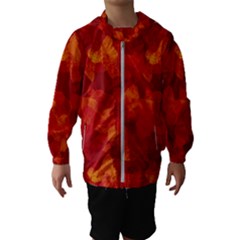 Fall Kids  Hooded Windbreaker