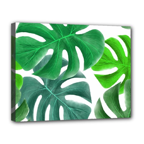 Tropical Greens Leaves Design Canvas 14  X 11  (stretched) by Simbadda