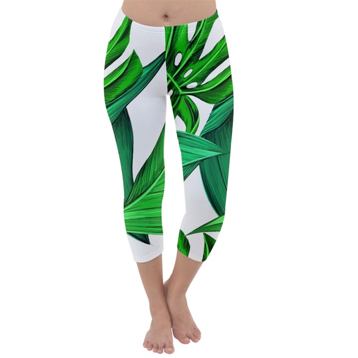 Leaves Tropical Monstera Summer Capri Winter Leggings 