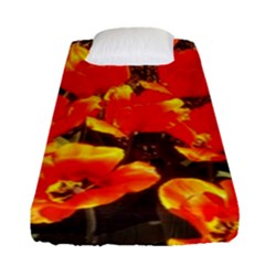 Orange Tulips At The Commons Fitted Sheet (single Size) by Riverwoman