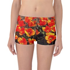 Orange Tulips At The Commons Boyleg Bikini Bottoms by Riverwoman