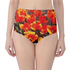 Orange Tulips At The Commons Classic High-waist Bikini Bottoms by Riverwoman