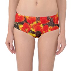 Orange Tulips At The Commons Mid-waist Bikini Bottoms by Riverwoman