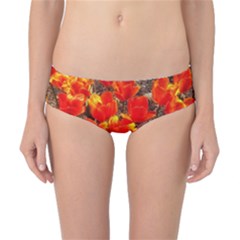 Orange Tulips At The Commons Classic Bikini Bottoms by Riverwoman