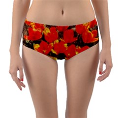 Orange Tulips At The Commons Reversible Mid-waist Bikini Bottoms by Riverwoman