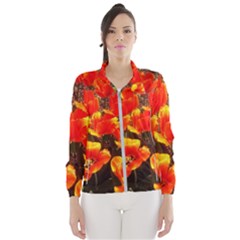 Orange Tulips At The Commons Women s Windbreaker by Riverwoman