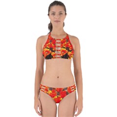 Orange Tulips At The Commons Perfectly Cut Out Bikini Set by Riverwoman