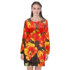 Orange Tulips At The Commons Long Sleeve Chiffon Shift Dress  by Riverwoman