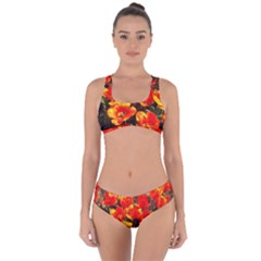 Orange Tulips At The Commons Criss Cross Bikini Set by Riverwoman