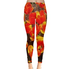 Orange Tulips At The Commons Inside Out Leggings by Riverwoman