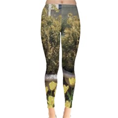 Columbus Commons Yellow Tulips Leggings  by Riverwoman