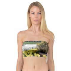 Columbus Commons Yellow Tulips Bandeau Top by Riverwoman