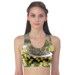 Columbus Commons Yellow Tulips Sports Bra by Riverwoman