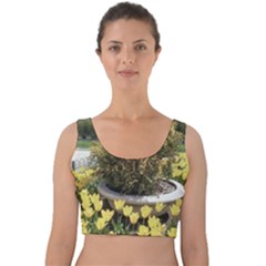 Columbus Commons Yellow Tulips Velvet Crop Top by Riverwoman