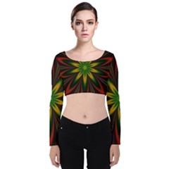 Fractal Artwork Idea Allegory Art Velvet Long Sleeve Crop Top by Sudhe