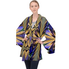 Artwork Fractal Allegory Art Velvet Kimono Robe by Sudhe