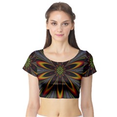 Fractal Artwork Idea Allegory Short Sleeve Crop Top by Sudhe