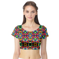 Ml 240 Short Sleeve Crop Top by ArtworkByPatrick