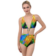 Color Concept Design Colorful Color Tied Up Two Piece Swimsuit by Pakrebo