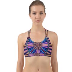 Artwork Fractal Geometrical Design Back Web Sports Bra by Pakrebo