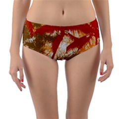 Into The Forest Paradise Reversible Mid-waist Bikini Bottoms