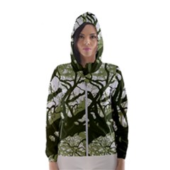 Into The Forest 11 Women s Hooded Windbreaker