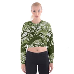 Into The Forest 11 Cropped Sweatshirt