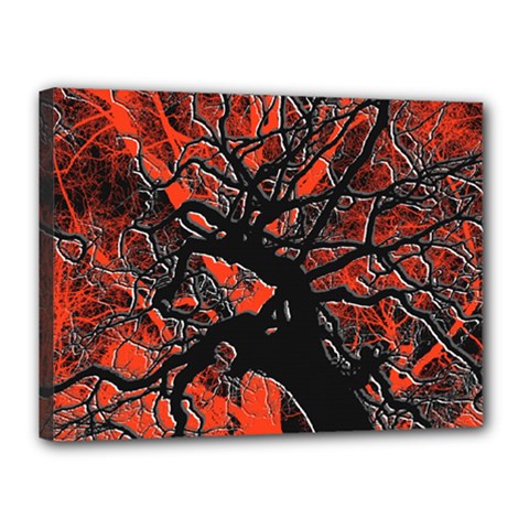 Into The Forest 6 Canvas 16  X 12  (stretched) by impacteesstreetweartwo