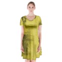 Watercolor Wash - Yellow Short Sleeve V-neck Flare Dress View1