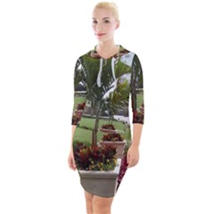 Columbus Commons In Late May  Quarter Sleeve Hood Bodycon Dress by Riverwoman