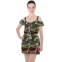 Columbus Commons In Late May  Ruffle Cut Out Chiffon Playsuit by Riverwoman