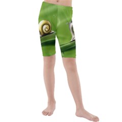 Snail Drops Rain Drawing Green Kids  Mid Length Swim Shorts by Wegoenart