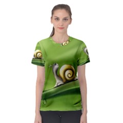 Snail Drops Rain Drawing Green Women s Sport Mesh Tee