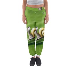 Snail Drops Rain Drawing Green Women s Jogger Sweatpants by Wegoenart