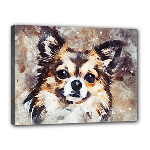 Chihuahua Dog Cute Pets Small Canvas 16  X 12  (stretched) by Wegoenart