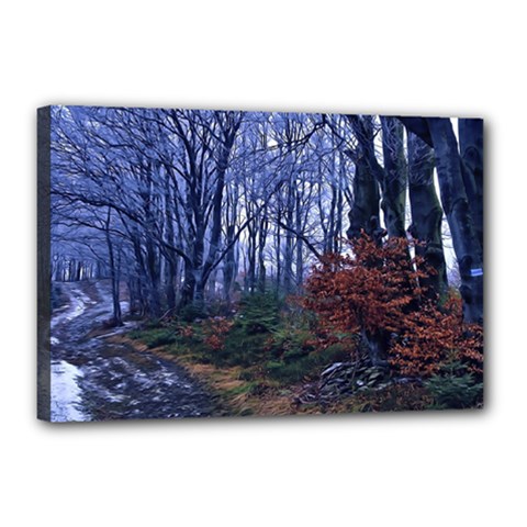 Forest Beeches Way Winter Snow Canvas 18  X 12  (stretched) by Wegoenart