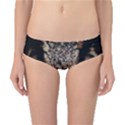 Owl Bird Eyes Eagle Owl Birds Classic Bikini Bottoms View1