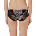 Owl Bird Eyes Eagle Owl Birds Classic Bikini Bottoms View2