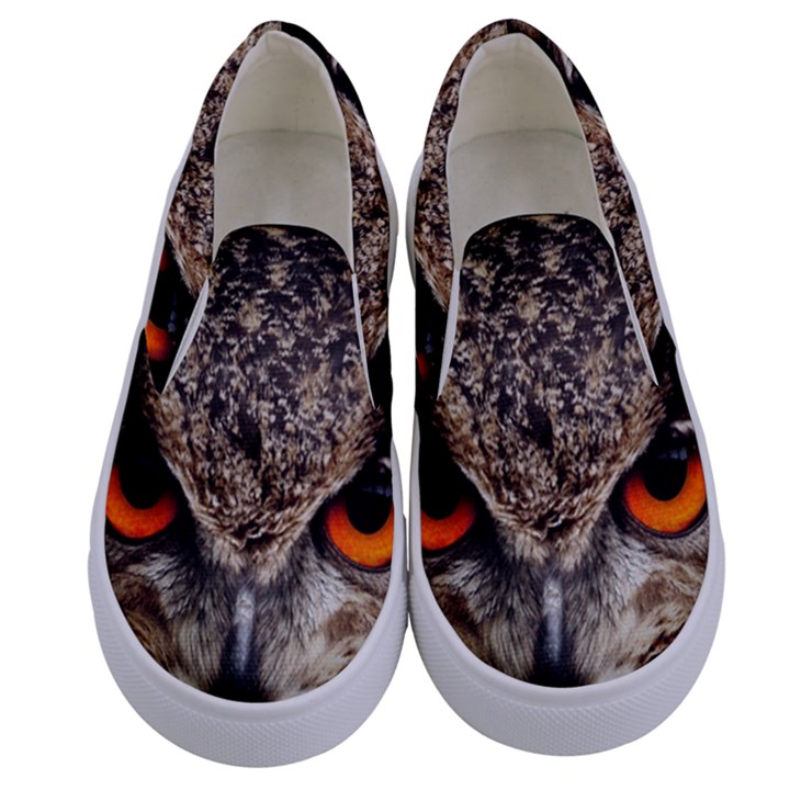 Owl Bird Eyes Eagle Owl Birds Kids  Canvas Slip Ons