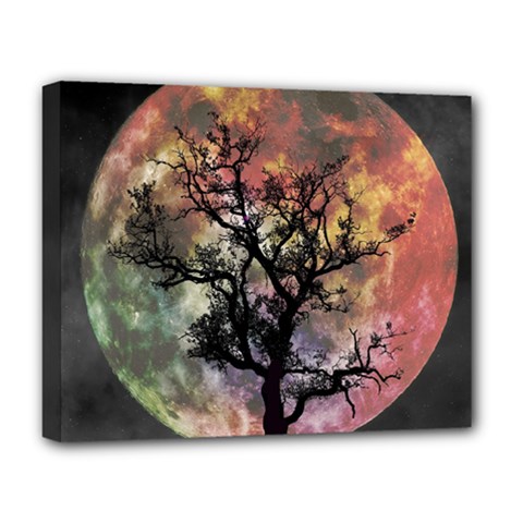 Full Moon Silhouette Tree Night Deluxe Canvas 20  X 16  (stretched) by Wegoenart