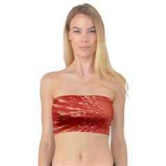 Rays Pattern Center Abstract Red White Bandeau Top by Wegoenart