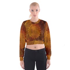 Orange Warm Hues Fractal Chaos Cropped Sweatshirt by Wegoenart